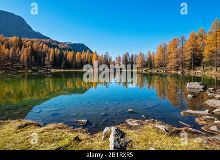 Autumn alpine mountain lake near San Pellegrino Pass, Trentino, Dolomites Alps, Italy. Picturesque traveling, seasonal and nature beauty concept scene Stock Photo