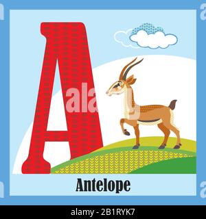 Vector cartoon flashcards of animal alphabet, letter A. Colorful cartoon illustration of letter and antelope vector character. Bright colors zoo wildl Stock Vector