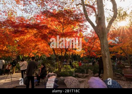 Marriage market in Hong Kou Park in Shanghai. Parents try to find a partner for their unwed children. Stock Photo