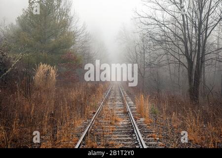 Abandoned railroad tracks leading into forest on a foggy morning in Penrose (near Brevard), North Carolina, USA Stock Photo