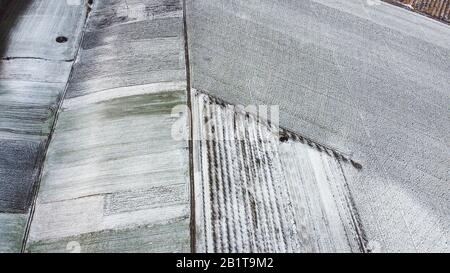 Snow and bad weather in the spring through which winter crops will disappear. Stock Photo