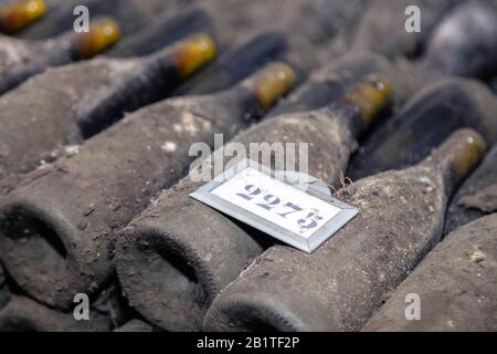 Ancient dark dusty wine bottles aging in underground cellar in rows. Concept winery vault with rare wines, exclusive collection. Stacks of wine bottle Stock Photo