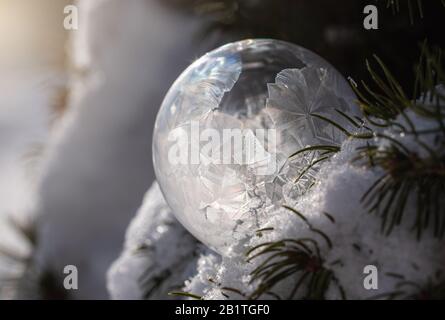 Soap bubble freezing in a snow covered tree on a winter's day. Stock Photo