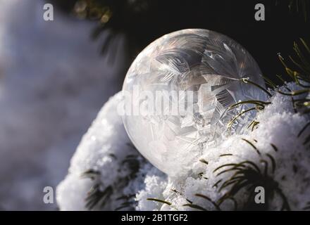 Frozen soap bubble in a snow covered tree on a winter's day. Stock Photo