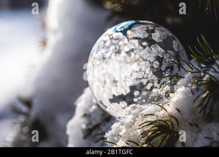 Soap bubble freezing in a snow covered tree on a winter's day. Stock Photo