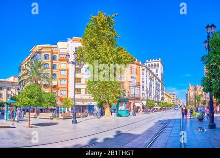 SEVILLE, SPAIN - OCTOBER 1, 2019: Avenue of the Constitution is the wide thoroughfare, leading through medieval part of the city, with lines of beauti Stock Photo