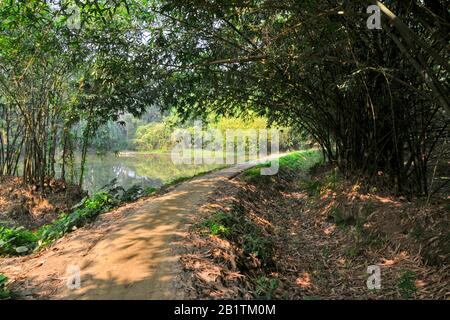 village path at hooghly west bengal Stock Photo