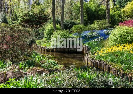Landscape design in the garden - small canal along beautiful flowers, bushes and trees in Keukenhof park, Netherlands Stock Photo