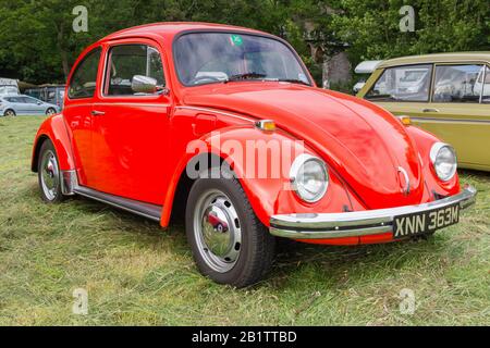 Volkswagen Type 1 or Beetle a classic German  economy car built from 1938 to 2003 at a vintage vehicle rally Stock Photo