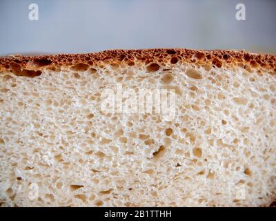 Porous white roll in a section. Close-up. Stock Photo
