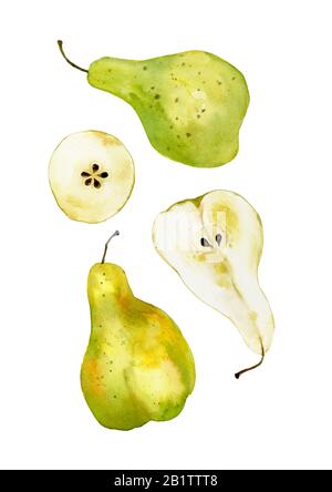 Composition of mouth-watering and juicy, green and yellow pears. Drawn in watercolor. Suitable for any design. Ready poster. Cut pear Stock Photo