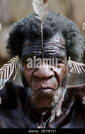 Papua man from Dani tribe, Jiwika village, Baliem Valley - Occidental Papua, Indonesia Stock Photo