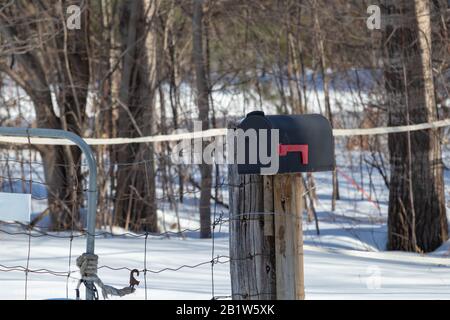 Black metal rural mailbox stands on a wooden post, with a red flag in the downward position, at the end of the lane of a country home  in winter. Stock Photo