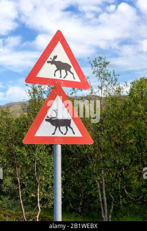 Warning sign of elk (moose/deer) and reindeer on street in Norway with forest in background Stock Photo