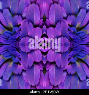 Abstract symmetric pattern of a bird's purple feathers. The image has a mirror effect with a kaleidoscopic pattern as a background. Stock Photo