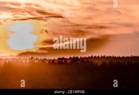 bright red orange dramatic sunset with plumose clouds over foggy pine forest in scandinavia Stock Photo