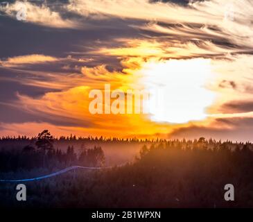 bright red orange dramatic sunset with plumose clouds over foggy pine forest in scandinavia Stock Photo