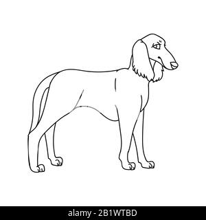 Cute cartoon monochrome saluki dog breed lineart vector clipart. Pedigree kennel doggie breed for dog lovers. Purebred domestic puppy for pet parlor Stock Vector