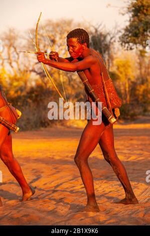 Bushman of the Ju/' Hoansi-San with bow and arrow while hunting,village ...