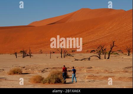 Tourists at Dead Vlei, one of the main attractions of Sossusvlei, Namib Naukluft National Park, Namibia Stock Photo