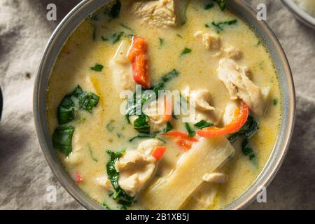 Homemade Spicy Thai Coconut Green Curry with Chicken Stock Photo
