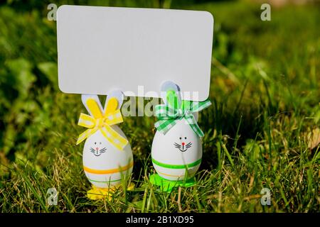 Mockup white greeting card and easter eggs with yellow daffodils on a green grass background Stock Photo