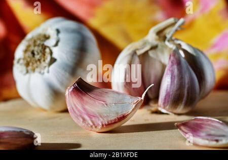 Beautiful garlic on colored background , in the foreground one white -purple  clove, in the background garlic bulbs Stock Photo