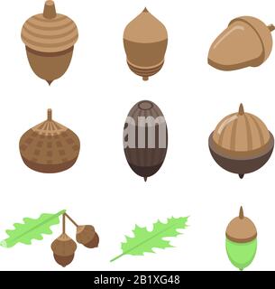 Acorn icons set, isometric style Stock Vector
