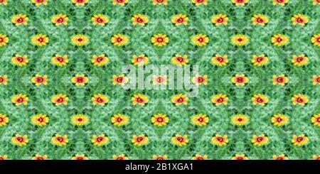 Colorful seamless background of gaillardia flowers on a summer meadow Stock Photo