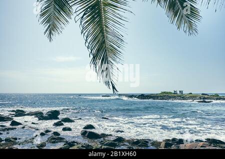 Palm leaves against the sun on a tropical beach, color toned picture. Stock Photo