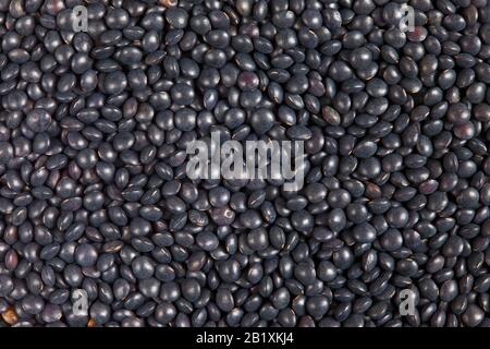 Black Beluga Lentils texture background. Lentils are rich in protein, carbohydrates, fiber, and low in fat.