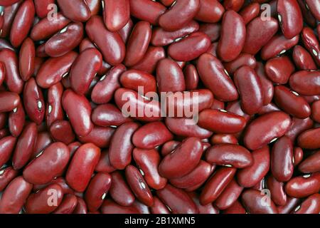 Red kidney bean texture background. Also called Rajma or Mexican Bean. A large, kidney-shaped bean with a subtle sweet flavor and soft texture that ke Stock Photo