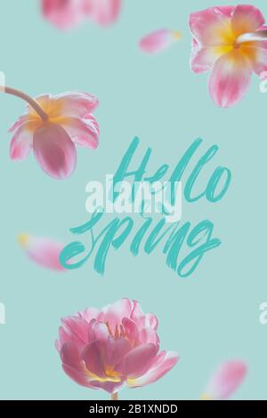 Hello spring - greeting card with hand calligraphic inscription. Tulips on a blue background. Stock Photo