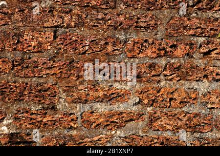 Old laterite wall laterite texture background,Pattern decorative uneven cracked real stone wall surface with cement Stock Photo