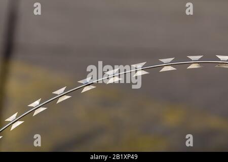 Close-up / isolated view on razor wire aka barbed wire. Grey (asphalt) & yellow background. Used to avoid getting in or out. Prisons, military... Stock Photo