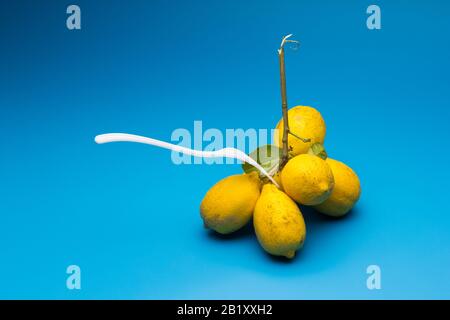 Healthy lemons with an acid flavor and full of vitamins, together with plastic cutlery; Citrus lemons on blue background. Stock Photo