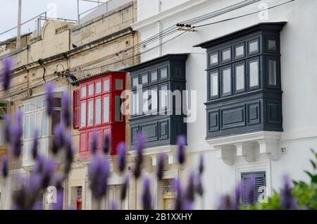 Kalkara, Malta; April 13, 2019: Street of Kalkara, Malta with traditional colorful bay balconies and lavender flowers Stock Photo