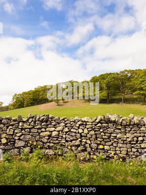 Section of traditional British Dry Stone Wall, England, UK Stock Photo
