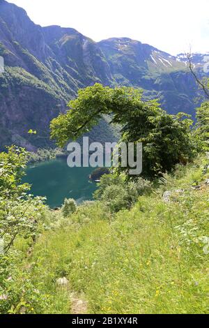 Naeroyfjord idyllic fjord landscape reflection, ship ferry, Norway, scandinavia Stock Photo