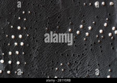 Texture of genuine leather with perforation close-up, black color. For background, backdrop Stock Photo