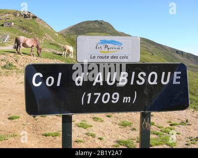 Horses grazing at the summit of Col d'Aubisque in Pyrenees mountains in France Stock Photo