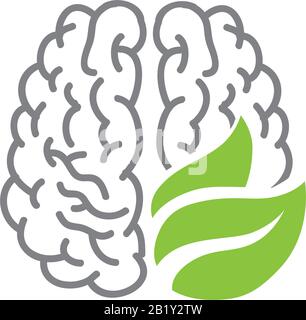 green tree leaves and human brain, vector Stock Vector