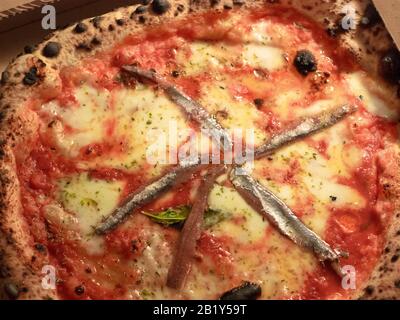 classic soft Neapolitan pizza, low in the middle with the cord, stuffed with fresh anchovies and oregano Stock Photo