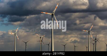 Wind Turbines in the field Stock Photo