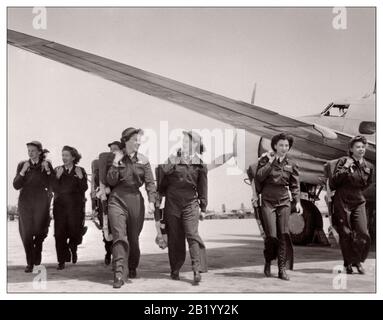 Wasps womens airforce top