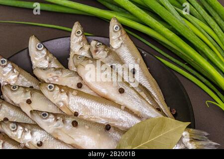 Raw sea fish smelt, sardines, anchovies, capelin with the scent of fresh cucumber ready for cooking. Healthy seafood concept. On black plate, spice, g Stock Photo