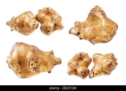 two tubers of jerusalem artichoke (sunroot) cutout on white background Stock Photo