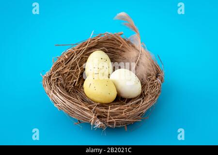 Yellow small quail eggs in a nest on a blue background. Decoration of Easter. Source of protein, diet Stock Photo