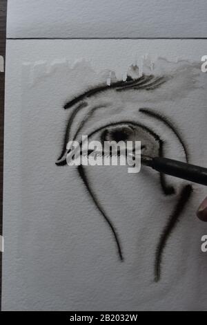 Sequence of drawing with dip pen in India ink onto wet watercolour paper with ink spreading. Stock Photo