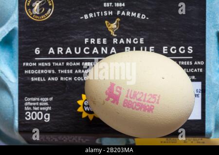 Batch of eggs with expiration date stamp, on egg carton Stock Photo - Alamy